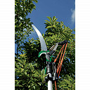 Draper 45334 Extendable Tree Pruning Saw & Lopper